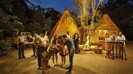 ナイトサファリ_イブニング・イン・ザ・ワイルド